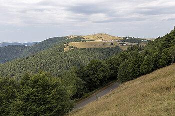 Aussicht vom Hundsrücken