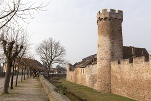 alte Befestigungsanlagen in Obernai