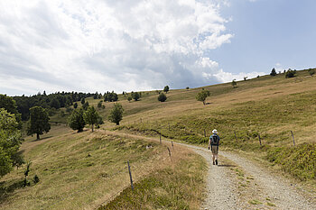 Wanderweg zum Markstein
