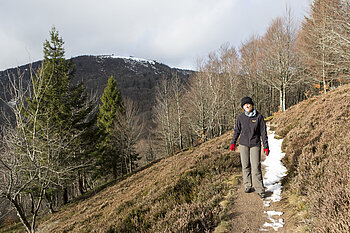 Wanderweg nahe dem Rundkopf