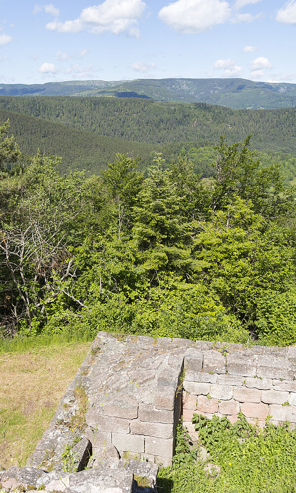 Aussicht vom Château du Hohnack