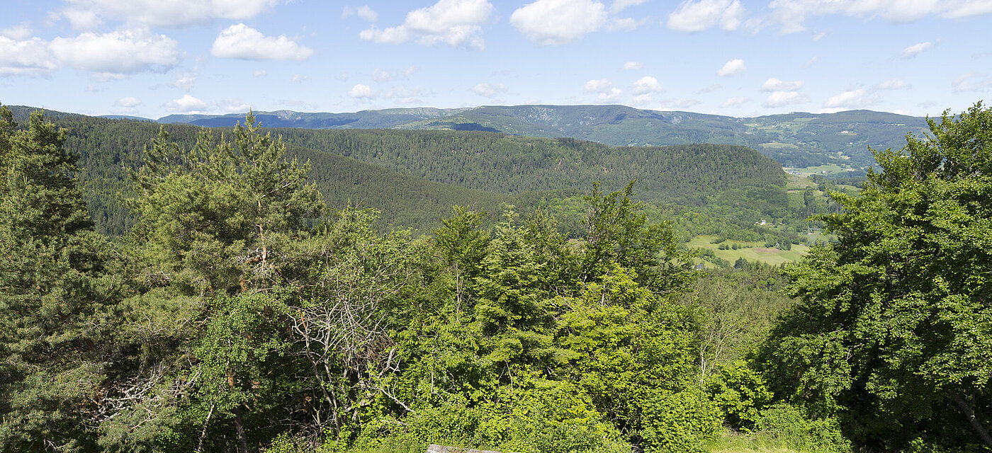 Aussicht vom Château du Hohnack