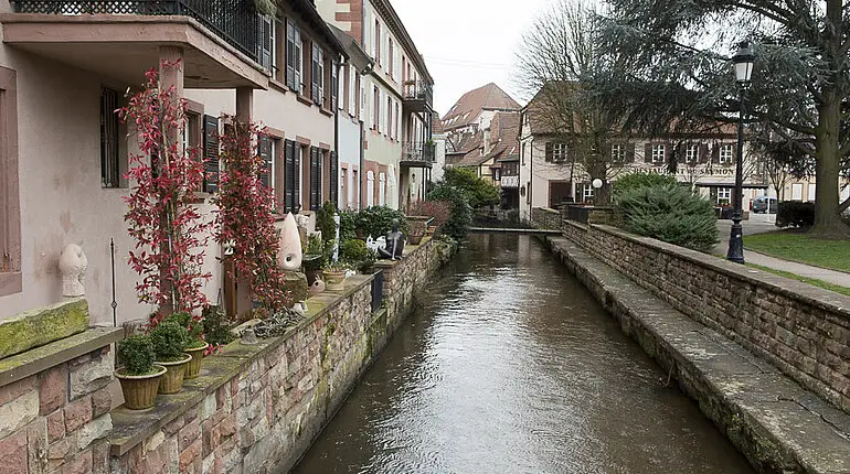 die Lauter in Weißenburg