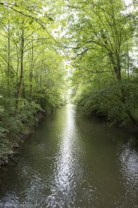 Oberriedgraben im Illwald bei Schlettstadt