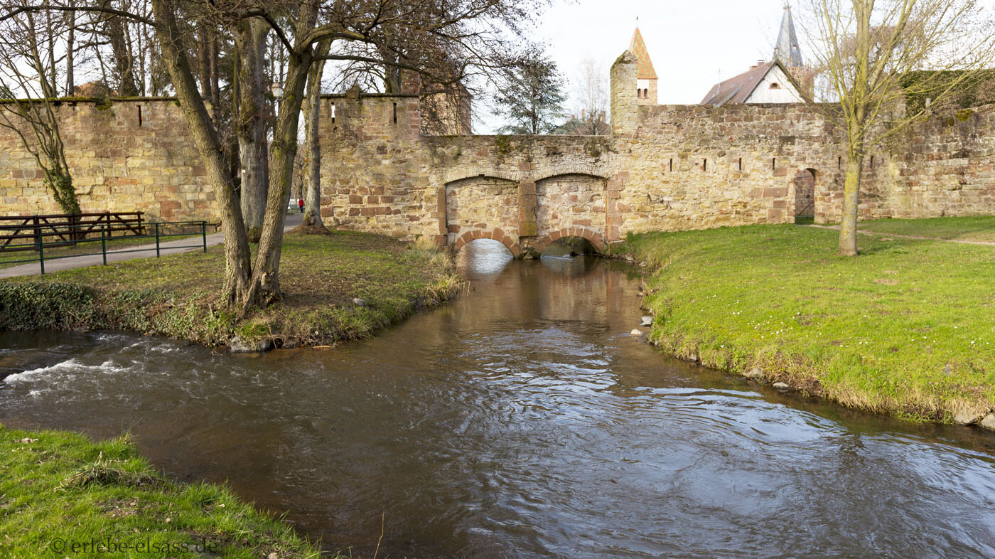 die Lauter beim Badeweger Tor
