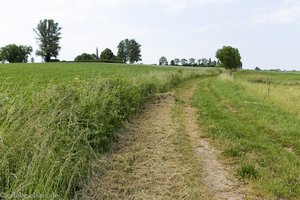 Wanderweg auf den Geisberg