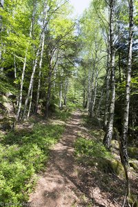 Wanderweg vom Col du Wildberg zur Porte de Pierre