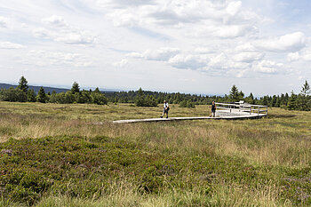 Weg durch das Moor der Hautes Chaumes