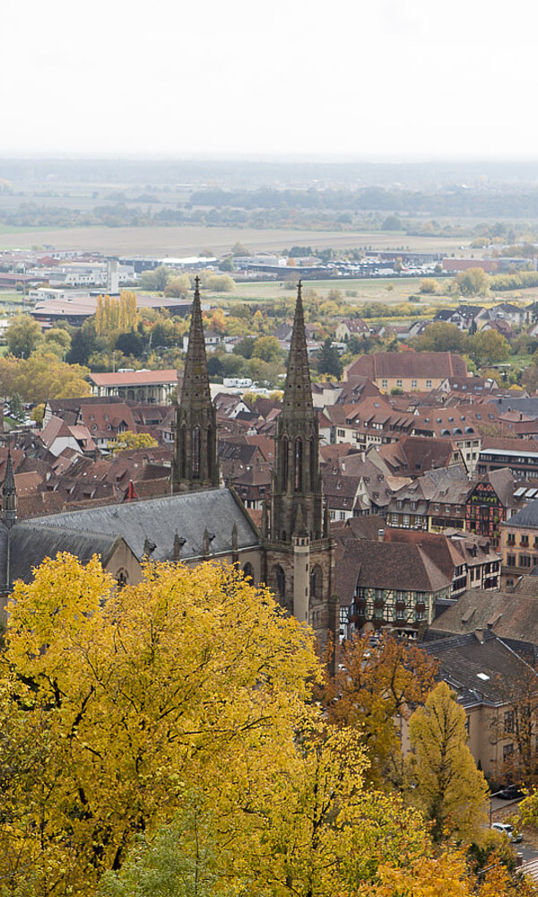 Aussicht Blick auf Obernai