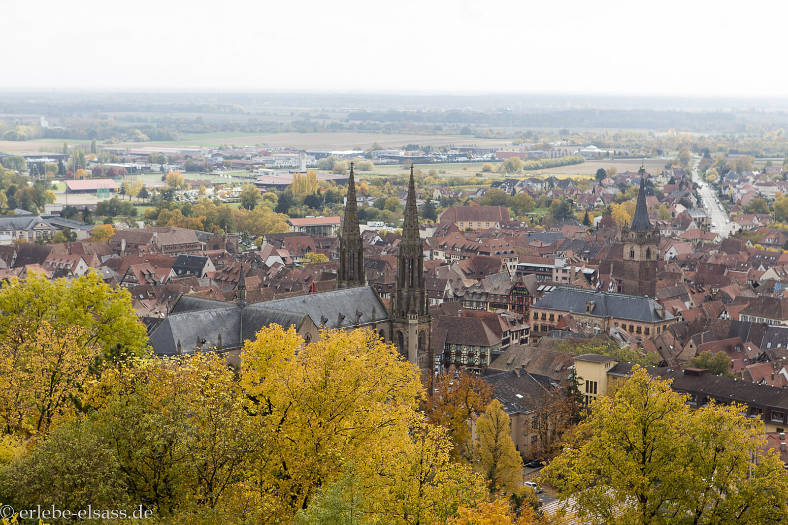 Aussicht vom Denkmal der Zwangsrekruierten auf Obernai