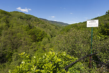 Aussicht vom Rocher Witzigfelsen