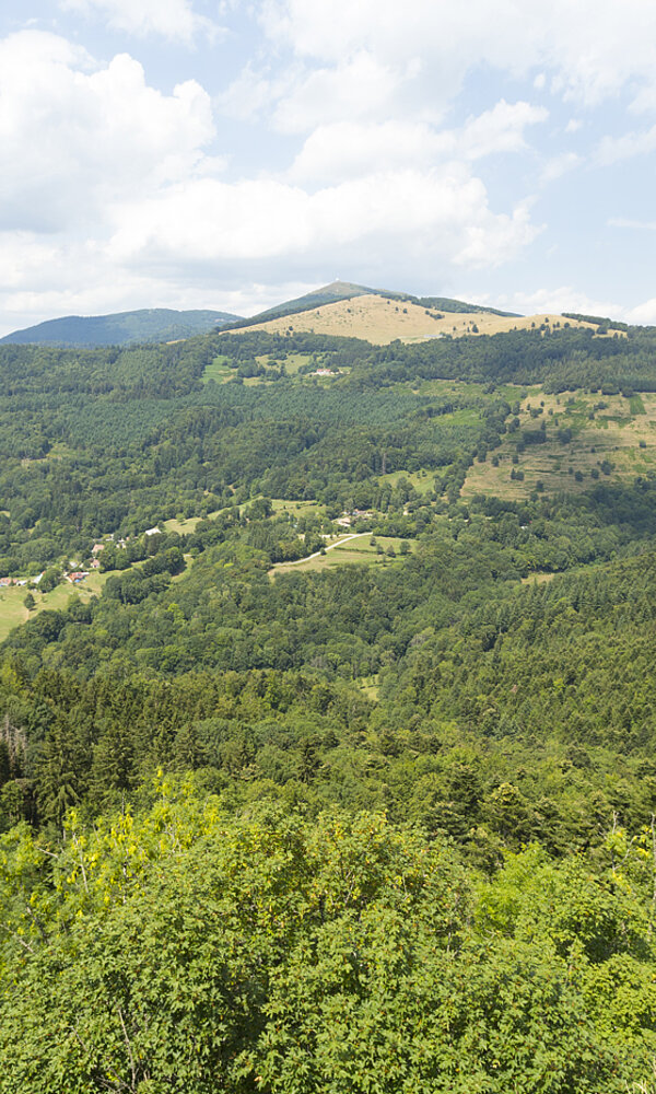 Aussicht von der Burgruine Freundstein