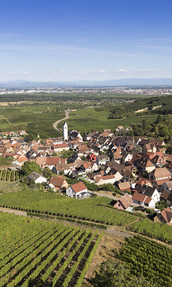 Aussicht von der Burg Wineck