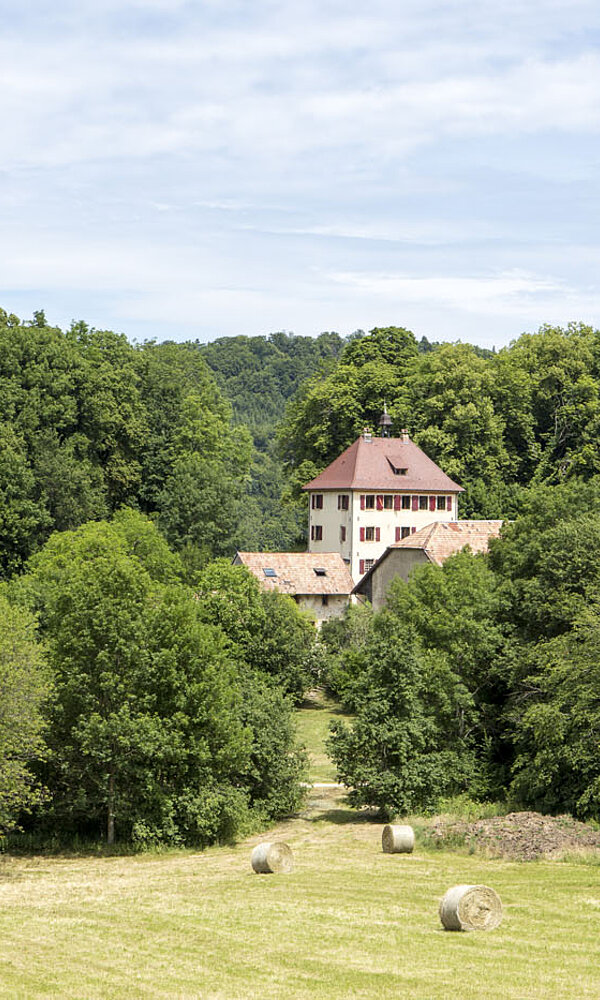 Gutshof Morimont