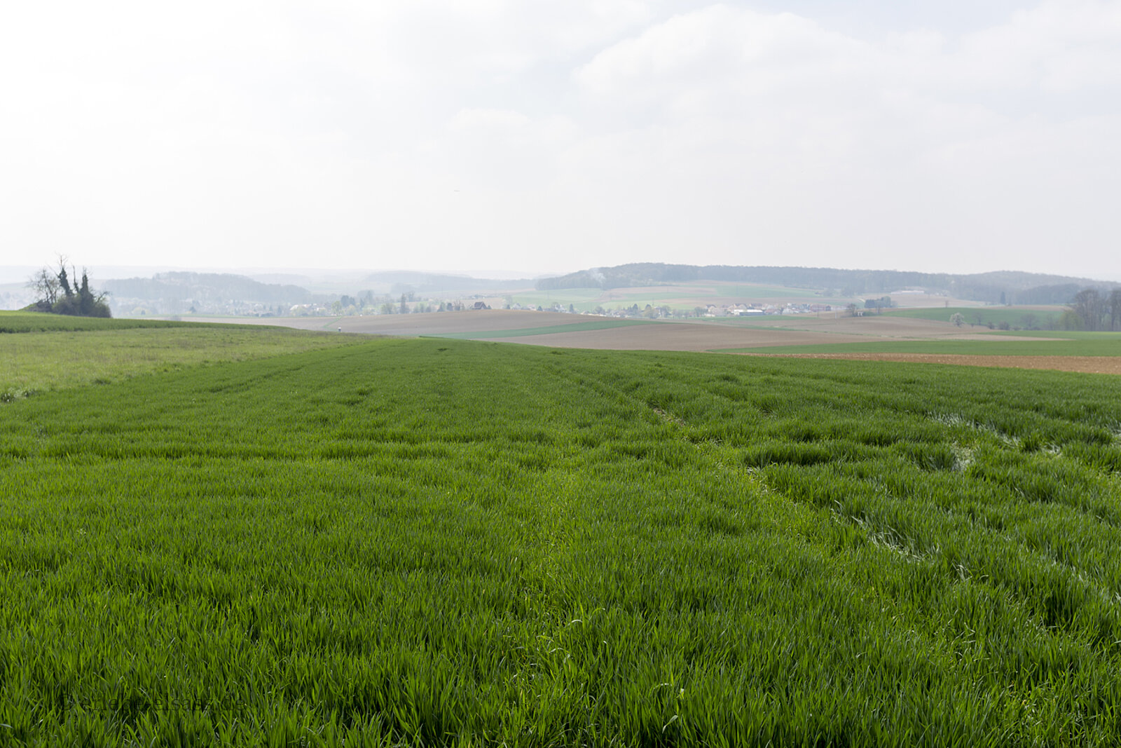 Aussicht über die Felder beim Observatorium am Haulenwald im südlichen Elsass