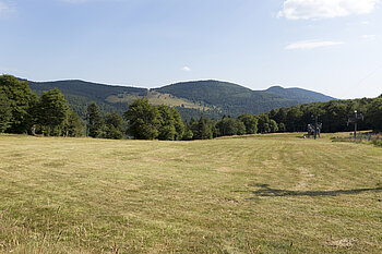 Bergwiesen am Markstein
