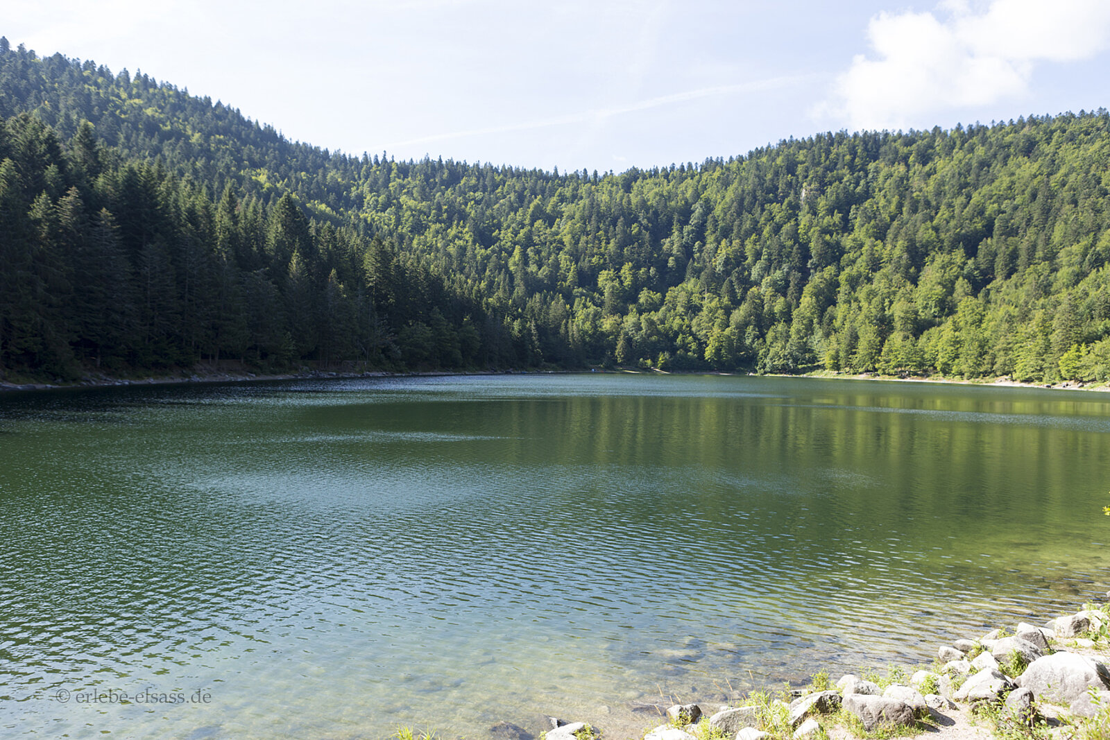 Aussicht vom Ufer über den Lac des Corbeaux in den Vogesen mit bewaldeten Hängen
