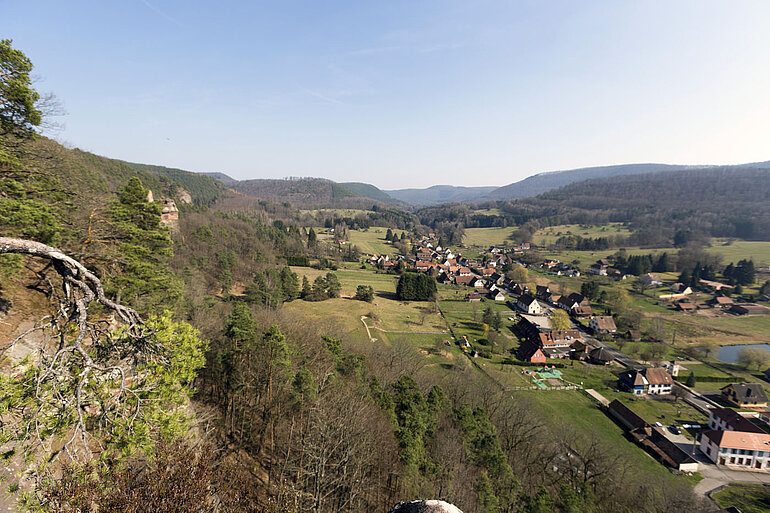 Aussicht vom Wachtfels über das Steinbachtal