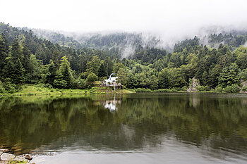 Blick über den Petit Neuweiher