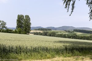 Felder und Hügel bei Wissembourg