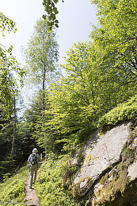 Wanderweg vom Wildbergpass zur Teufelspforte