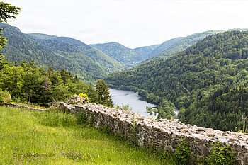 Aussicht von der Burg Wildenstein