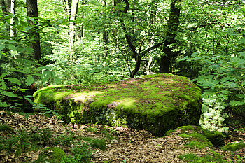 Der Dietrichstein des Drachentöters