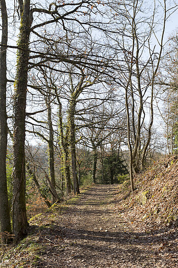 Buorgweg zum Peternit - Rosstall