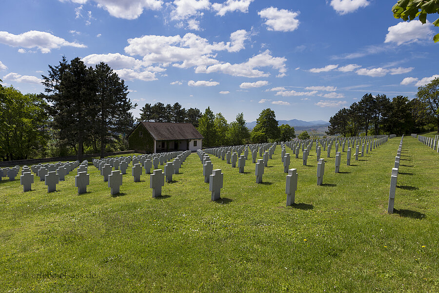 Gräber auf dem deutschen Soldatenfriedhof von Bergheim