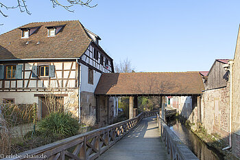 in Molsheim an der Elsässer Weinstraße