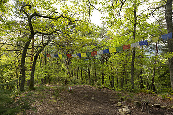 Wimpel über den Albert-Schweitzer-Weg