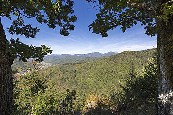 Zugang zum Rocher d'Albert