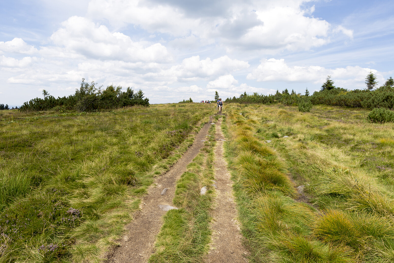 Ursprünglicher Wanderweg durch die offene Hochweide auf dem Gazon du Faing