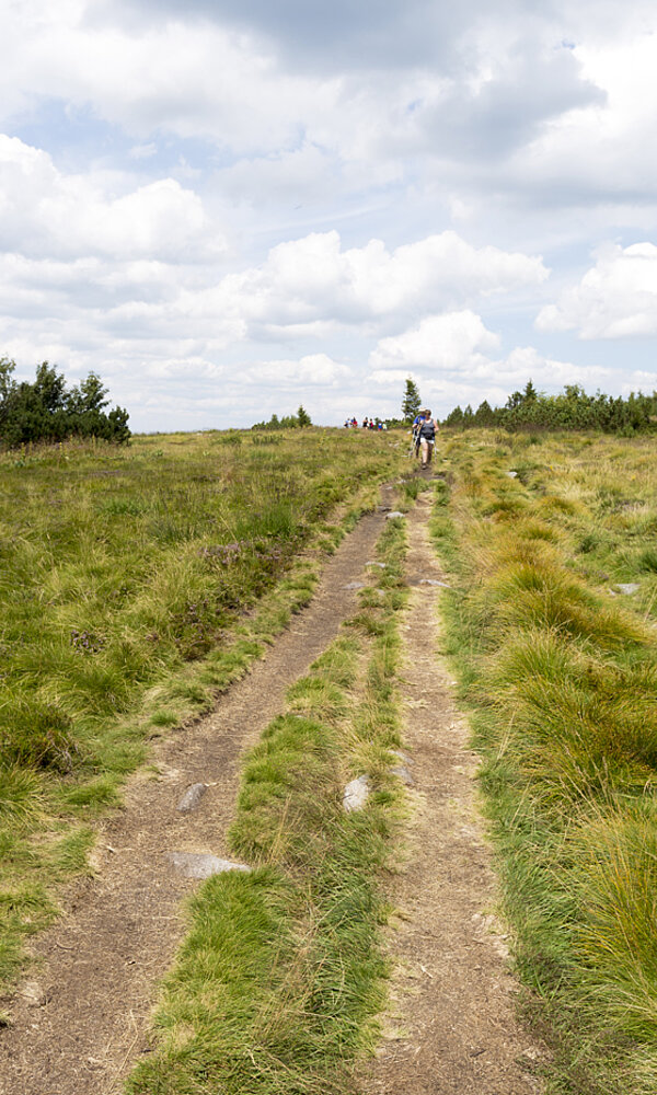 Wanderweg auf den Gazon du Faing