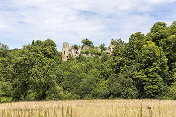 Sicht auf die Burgruine Morimont