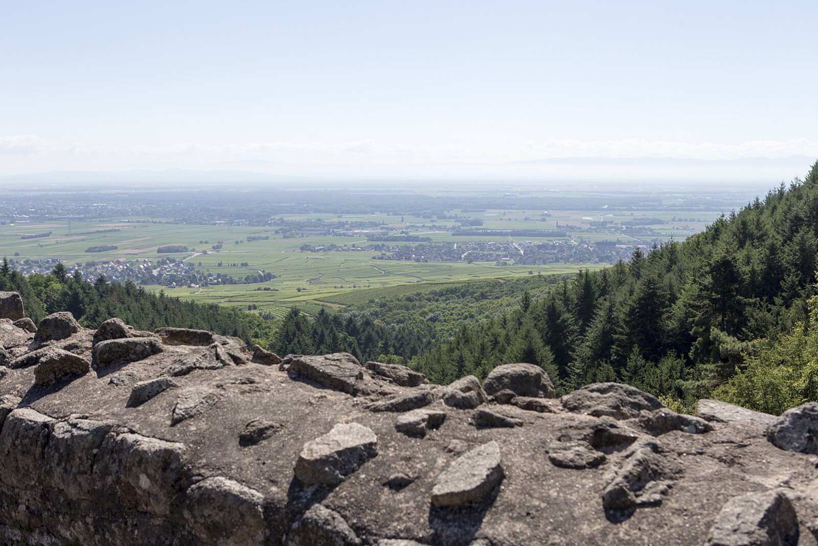 Bergfried der Burg Hagueneck im Wald oberhalb von Wintzenheim