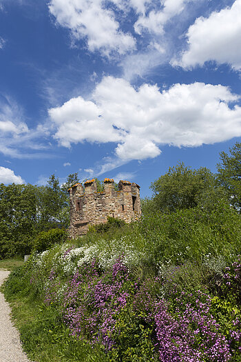 Hexenturm von Bergheim
