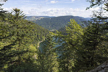 Versperrte Sicht auf den See beim Collet Mansuy