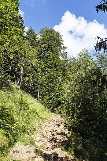 Pfad zwischen Col du Hundsruck und Martisplatz