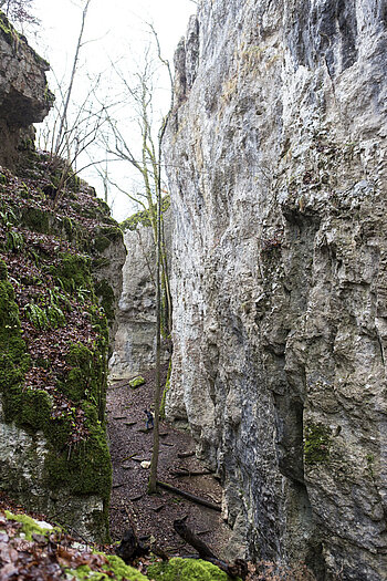 Wolfsschlucht bei Ferrette