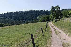 Wanderweg beim Gimbelhof