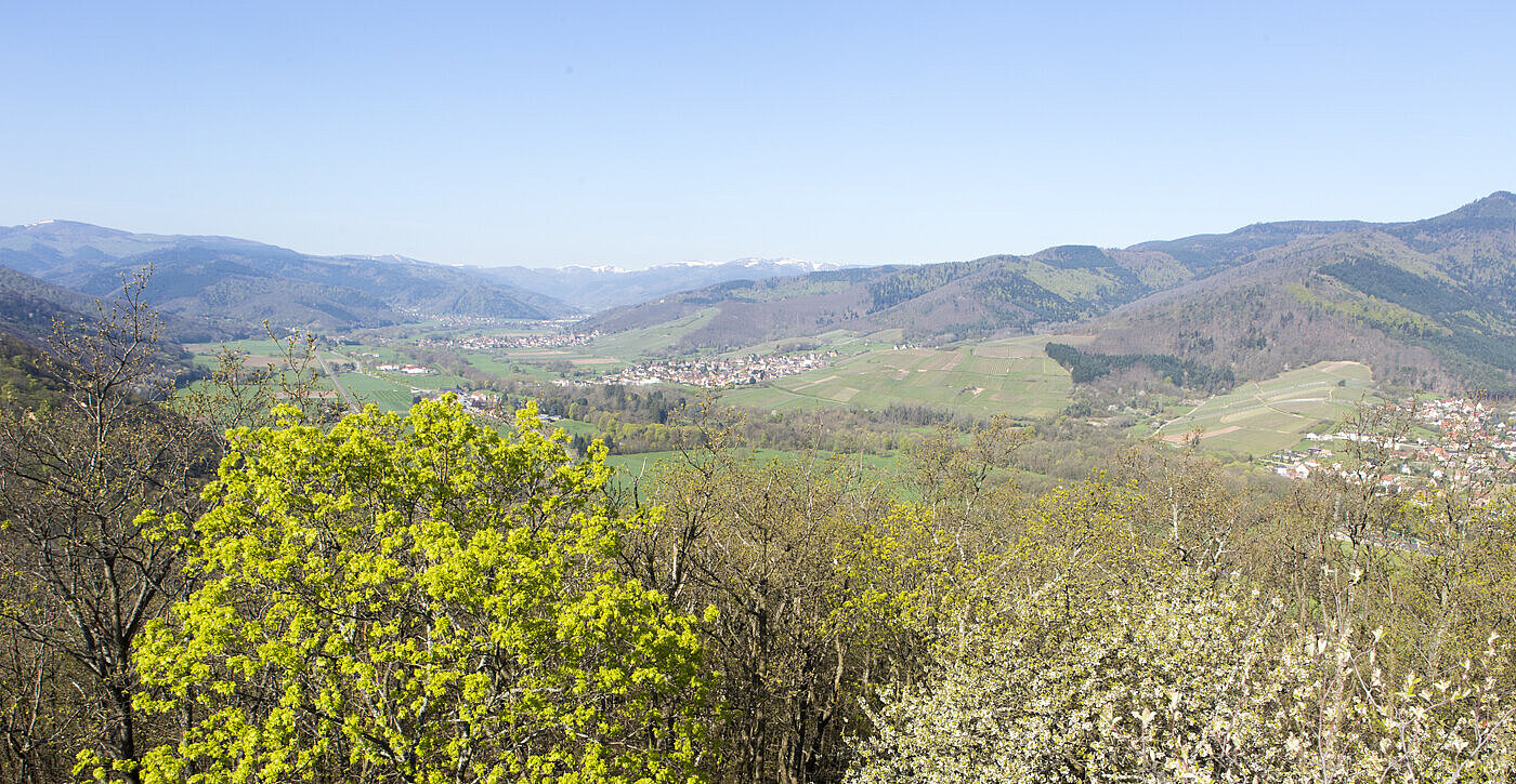 Aussicht von der Pflixbourg über das Fechttal