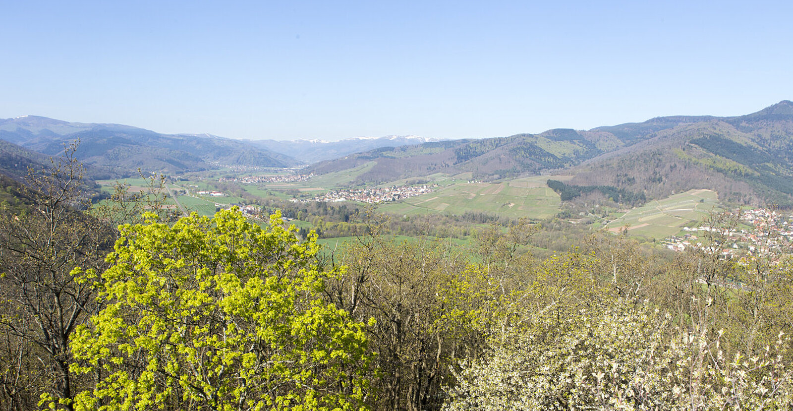Aussicht von der Pflixbourg über das Fechttal auf die schneebedeckten Hochvogesen