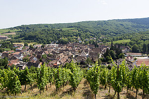 Andlau - zwischen Weinbergen und Vogesen