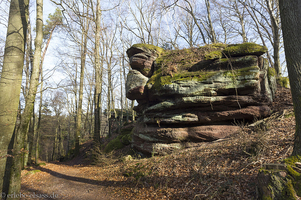 Wanderweg zur Grotte d'Amour nahe der Hunebourg im Elsass