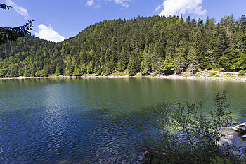 Der Rabensee der Hochvogesen