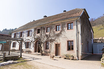 Auberge Saint Alexis oberhalb Kaysersberg