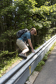 Leitplanke als Hindernis auf dem Wanderweg 
