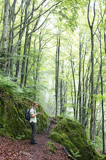 Wanderweg zwischen den Seen von Ermensbach