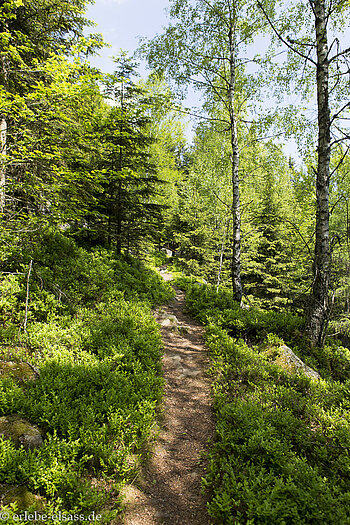Aufstieg von der Porte de Pierre auf den Mutzigfels